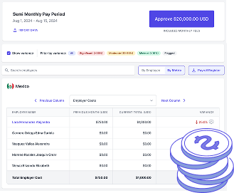 Screenshot of payroll